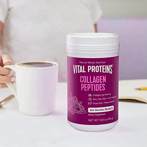 Vital Proteins Collagen Peptides, 10.8 oz, Dark Chocolate & Blackberry