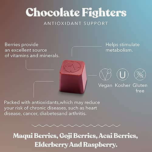 Southeast Chocolates Fighters - Sugar-Free White Chocolate Bites with Goji Berries, Maqui Berries, Acai Berries, Elderberry and Raspberry to Support Antioxidants Supply – Vegan, Dairy-Free. Soy-Free and All Natural (Small Tin 6 Pack/9 Bites ea.)