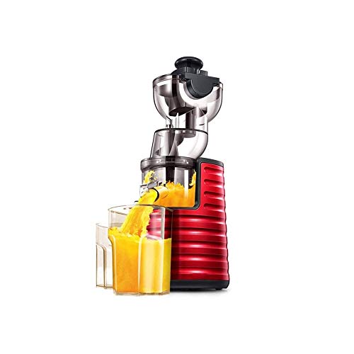 wan QIN Juicer Machines, Slow Masticating Juicer Extractor, Cold Press Juicer, Easy to Clean Brush & Quiet Motor for Vegetables&Fruits, 3.15inch Wide Chute,1L