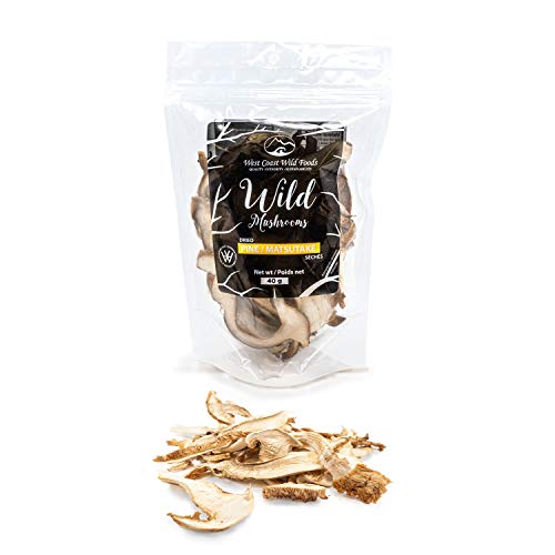 West Coast Wild Foods | Dried Wild Mushrooms (Matsutake - Pine, 1.41oz - 40g)