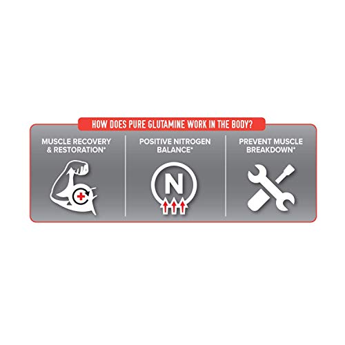 Pure GLUTAMINE, Ultimate Muscle Recovery Powder, Promote Recovery and Restoration, Support Positive Nitrogen Balance, Prevent Muscle Breakdown (500 Gram, UNFLAVORED)