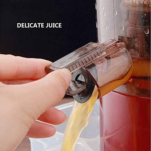 BXZYYL Juicer Machine, Juicer for Vegetable and Fruit, Slow Masticating Juice Extractor Machine with Quiet Motor, Juice Maker Easy to Assemble & Clean