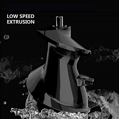 BXZYYL Juicer Machine, Juicer for Vegetable and Fruit, Slow Masticating Juice Extractor Machine with Quiet Motor, Juice Maker Easy to Assemble & Clean