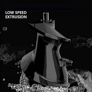 BXZYYL Juicer Machine, Juicer for Vegetable and Fruit, Slow Masticating Juice Extractor Machine with Quiet Motor, Juice Maker Easy to Assemble & Clean