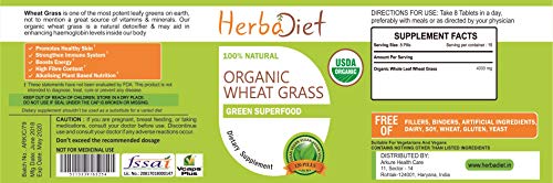 Organic Wheat Grass Whole Leaf 500mg Tablets Pills | Energy, Detox, Immune Support Alkalize Green Superfood Supplement | Non-GMO Gluten Free (240 Tablets)