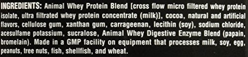 Animal Whey Isolate Whey Protein Powder – Isolate Loaded for Post Workout and Recovery – Low Sugar with Highly Digestible Whey Isolate Protein - Chocolate - 2 Pounds