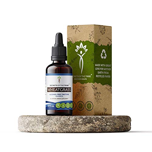 Wheatgrass Alcohol-Free Liquid Extract, Organic Wheatgrass (Triticum aestivum) Dried Leaf (4 FL OZ)
