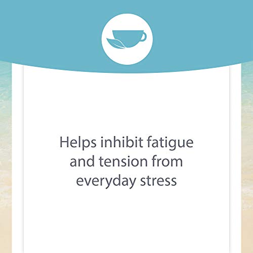 Stress-Relax Ashwagandha Sensoril by Natural Factors, 60 vegetarian capsules (60 servings)