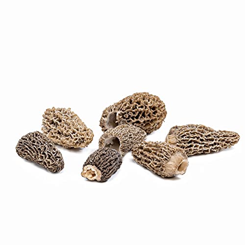 West Coast Wild Foods | Dried Wild Mushrooms (Morel, 0.5lb)