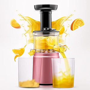 Slow Masticating Juicer Higher Nutrients, Cold Pressed Juicer Machines Vegetable And Fruit, BPA-Free Components, Easy To Clean