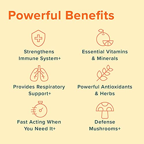 Ultimate Immune Support Vitamin C, D, E and Zinc + Natural Immunity Booster Multivitamin Herbal Supplement Elderberry & Echinacea, Daily Immune Defense & Antioxidant Support.