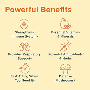 Ultimate Immune Support Vitamin C, D, E and Zinc + Natural Immunity Booster Multivitamin Herbal Supplement Elderberry & Echinacea, Daily Immune Defense & Antioxidant Support.