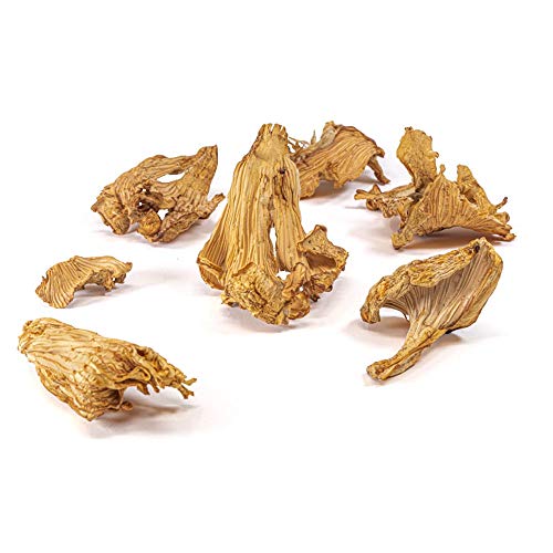 West Coast Wild Foods | Dried Wild Mushrooms (Chanterelle, 100g)