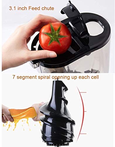 QIN Slow Masticating Extractor Easy to Clean Cold Press Juicer, with Reversal Function,BPA-free Masticating Juicer with Juice Jug