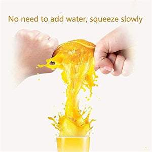 Juicer Machines Juicer Machines, Slow Juicer Masticating Juicer with 2-Speed Modes, Cold Press Juicer Extractor Easy to Clean, Quiet Motor, Reverse Function, for Fruits and Vegtables