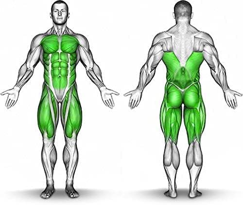 SleekMax, MPA Vasoburn Capsaicin Skin-Gel Pump Bottle, Targets Stubborn Areas, Capsaicin Cream, yohimbine Cream, bundle with a Motivational Wristband Bracelet by SleekMax to motivate and support you (7 oz.)