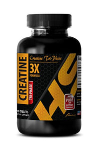 Pre Workout for Men Natural - CREATINE TRI-Phase (3X Formula) - Creatine monohydrate Bulk Supplements - 1 Bottle 90 Tablets