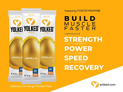 YOLKED - Clinically Proven and NSF-Certified All Natural Muscle Building Supplement - Increase Lean Muscle, Reduce Muscle Loss, and Improve Recovery with Protein’s Perfect Partner, 30 Servings