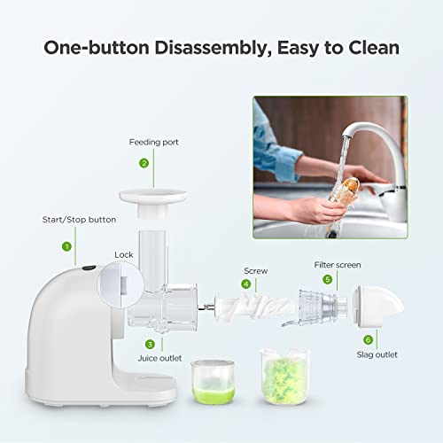 Slow Masticating Juicer Machine, Cold Press Juicer with Ceramic Auger, Easy to Clean, Juice Extractor with Reverse Function, Quiet Motor for 100% Original Vegetable and Fruit Juice, Ice Cream