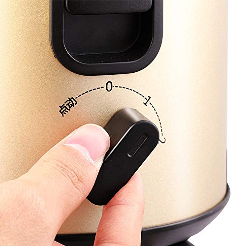 lq ZTT Juicer Machines, Slow Masticating Juicer, Cold Press Juicer Extractor, Centrifugal Juice Extractor for Fruit，Dual Speed and Overheat Overload Protection