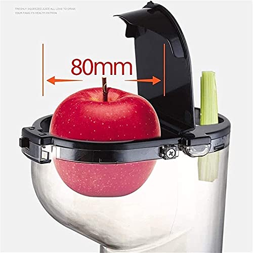 XUERUIGANG Slow Juicer, Slow Masticating Juicer Machine with Big Wide 80mm Chute, Cold Press Juicer for Nutrient Fruits and Vegetables, Juicer Machine BPA-Free