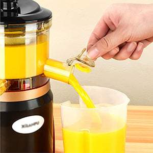 Slow Masticating Juicer Vegetable And Fruit, Cold Press Juicer Machine Easy To Clean, Fruit Juicer 98% Juice Yield & Pure Juice, Quiet Motor