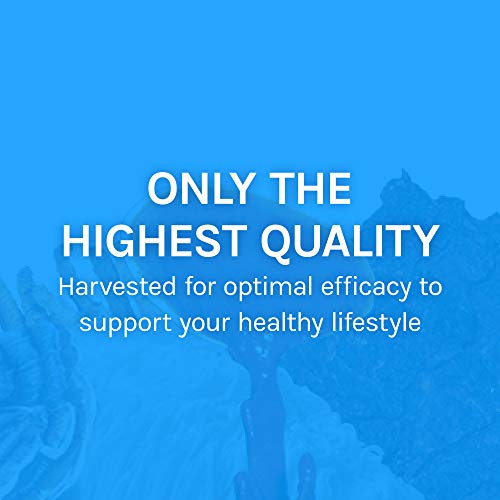 Host Defense, Breathe, 30 Capsules, Respiratory Support, Mushroom Supplement with Cordyceps, Reishi and Chaga, Vegan, Organic, 15 Servings