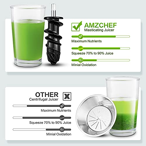 amzchef Masticating Juicer, Slow Juicer Extractor, Cold Press Juicers with Quiet Motor/Reverse Function, Slow Masticating Juicer Machines with Brush, for High Nutrient Fruit & Vegetable Juice