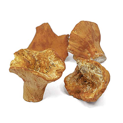 West Coast Wild Foods | Dried Wild Mushrooms (Lobster, 100g)