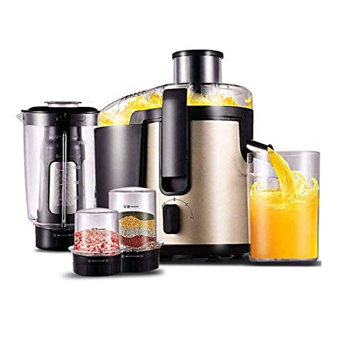 ZOUSHUAIDEDIAN Juicer, Slow Masticating Juicer, Filter Juice Machine for High Nutrient Juice, Cold Press Juicer, Easy to Clean,Safe Chute, Stainless Steel Citrus Juicer(Multifunctional Juicer)