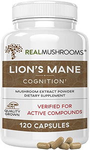 Lions Mane Mushroom Cognition Capsules (120 Capsules) Lions Mane Mushroom Powder Extract Capsules | Brain Supplement, Brain Vitamins, Focus Supplement