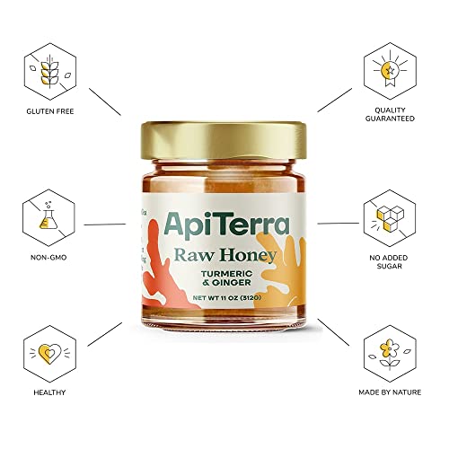 ApiTerra - Raw Honey with Turmeric & Ginger, 11oz (pack of 3)