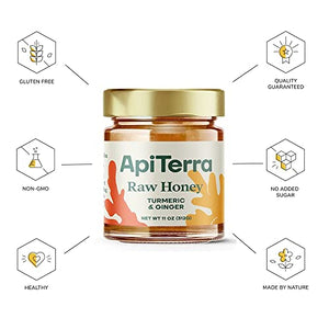 ApiTerra - Raw Honey with Turmeric & Ginger, 11oz (pack of 3)