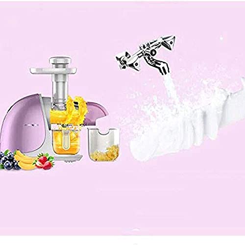 XBYUNDING Juicer Machines,Juicer Masticating Juicer,Large Caliber Juice Machine,Squeezed Sugar Cane Machine,Pomegranate Slag Juice,Fully Automatic Fried Juice Machine