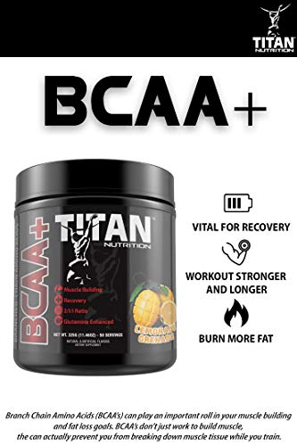 Titan BCAA+ Powder - Branched-Chain Amino Acid + Glutamine - Build Lean Muscle, Increase Muscle Mass, Aid Recovery - BCAA Ratio 2:1:1 - No Gluten, Low-Carb - Vegan - 50 Servings - Smashed Grape