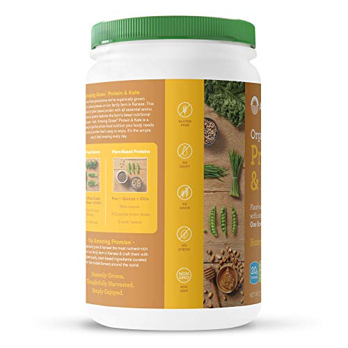 Amazing Grass Vegan Protein & Kale Powder: 20g of Organic Protein + 1 Cup Leafy Greens per Serving, Honey Roasted Peanut, 15 Servings, 0.7 Ounce (Pack of 1)