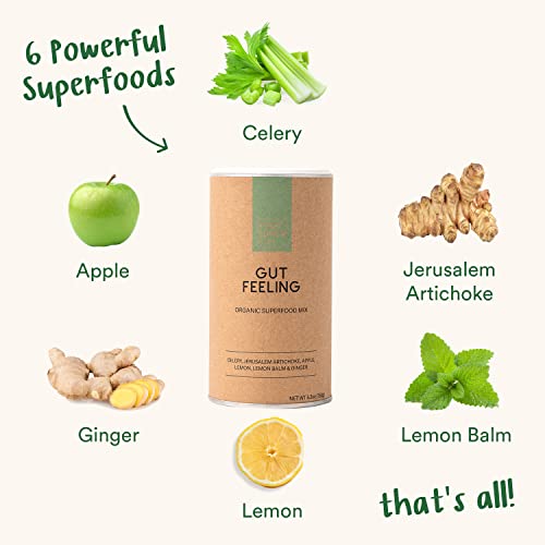 Your Super Gut Feeling Superfood Powder - Instant Celery Juice Powder, Prebiotics for Gut Health - Contains Digestive Enzymes, Dietary Fiber - Plant Based, Vegan, Gluten Free, Non Dairy - 30 Servings