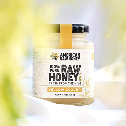 American Raw Honey - Raw Sweet Yellow Clover Honey from Utah, 100% Pure Organic Honey, Fresh from the Hive - Superfood, Gluten Free, Unpasteurized, No Preservatives or Additives (10 oz. / 285g)