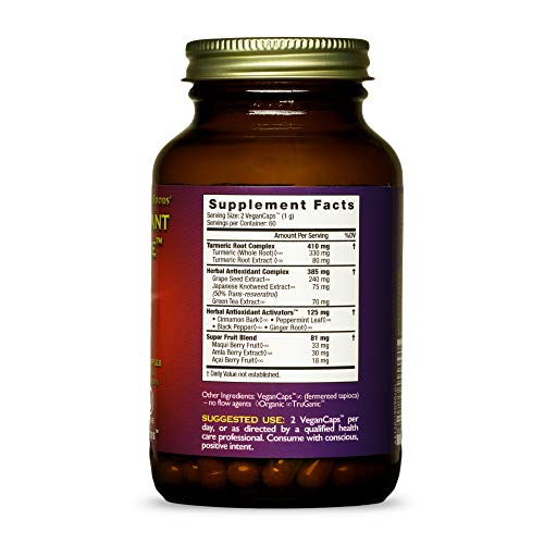 HealthForce SuperFoods Antioxidant Extreme - 120 VeganCaps - All-Natural Turmeric Root Complex - Supports Cognitive & Immune Functions - Kosher & Gluten Free - 60 Servings