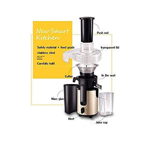 ZOUSHUAIDEDIAN Juicer, Slow Masticating Juicer, Filter Juice Machine for High Nutrient Juice, Cold Press Juicer, Easy to Clean,Safe Chute, Stainless Steel Citrus Juicer(Multifunctional Juicer)