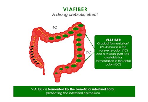 Viafiber Organic Prebiotics, L Glutamine Powder, Vegan Fiber Powder for Gut Health, Leaky Gut Repair Powder, Prebiotics, Acacia Fiber ,Gut Health Supplements for Women and Man 12.17 Ounce