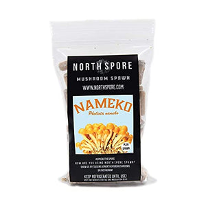 North Spore Nameko Mushroom Plugs, 100 Count Premium Quality Mushroom Plug Spawn, Made in USA, Grow Mushrooms on Logs, Easy to Use, Gourmet Culinary Mushrooms, Medicinal Mushrooms