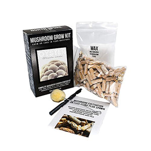 North Spore Blue Oyster Mushroom Log Kit, Outdoor DIY Mushroom Kit, Easy & Fun Wellness Hobby, Includes 100 Count Mushroom Plugs for Logs, Made in USA, Gourmet Culinary Mushrooms, Medicinal Mushrooms