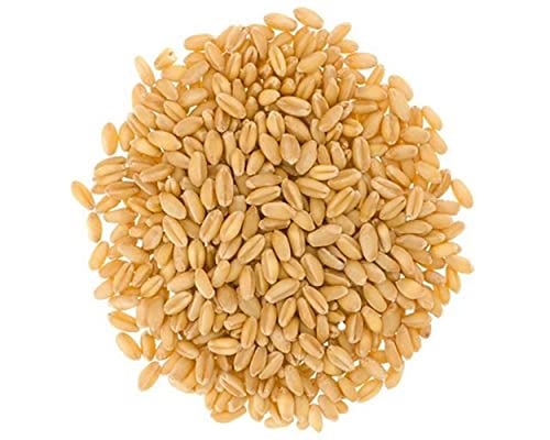Soft White Wheat Berries • 100% Desiccant Free • 12 lbs • Non-GMO Project Verified • Kosher • USA Grown • Field Traced • Resealable Kraft Bag • (4 Pound, Pack of 3)