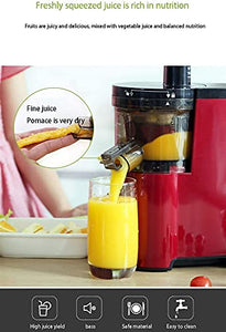 XTZJ Quiet Dual-Stage Slow Speed Masticating Juicer Makes Fruit and Vegetable 80 Revolutions per Minute High Juice Output, 150-Watt