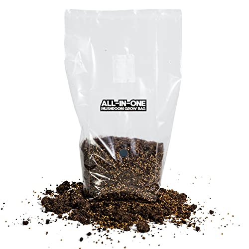 MushroomSupplies.com All in ONE Mushroom Grow Bag (3 LBS) | Mushroom Grow Kit with Sterilized Grain and Substrate | Easy Grow Your Own Mushrooms Kit