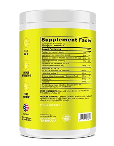 UNDERGROUND BIO LABS™ Panda SUPPS – Recover BCAA + Hydration - 30 Servings, 5G BCAA 2:1:1, 1G L-Tyrosine, Coconut Water Powder, L-Glutamine, STIM-Free, Superior Taste and Absorption (Melon Ball)