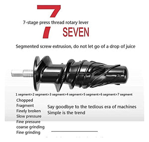 Juicer Machines Juicer Juicer, Slow Masticating Juicer Juicer Whole Fruit Vegetable Extractor Anti-Oxidation,Juicer Machines Vegetable and Fruit,Non-Slip Pad at The Bottom, All-Round Heat Dissipa