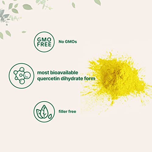 Pure Quercetin Dihydrate Powder, Quercetin 500mg Per Serving, 100 Grams, Most Bioavailable Grade and Filler Free, Powerful Antioxidant Supports Energy, Immune System, No GMOs and Vegan