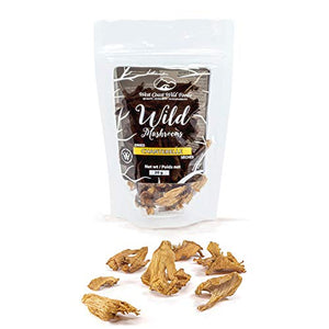 West Coast Wild Foods | Dried Wild Mushrooms (Chanterelle, 0.70oz - 20g)